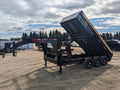 2025 Double A GLP217-18 29557